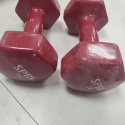 20 Lb Dumbells