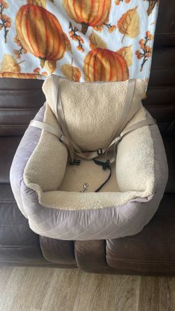 Pet Car seat