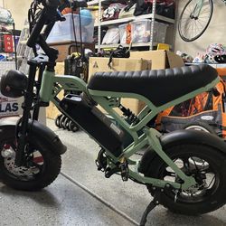 TAMOBYKE T16 With Instep Bike Trailer