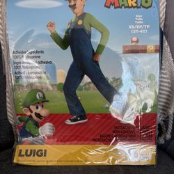 Kids Luigi Costume - Free