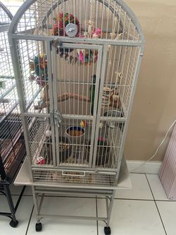 Birdcage