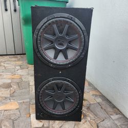 2 "12" Kenwood Speak 