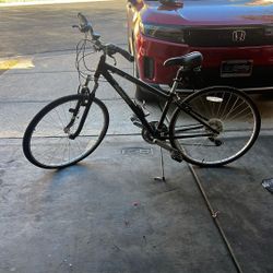 Diamondback Edgewood Lx 