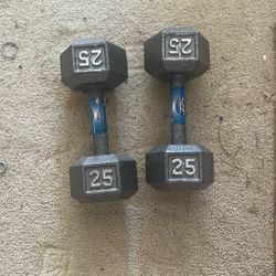 25# Iron Weights 