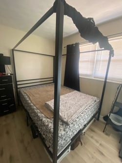 Black canopy bed