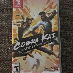 Cobra Kai Switch Game