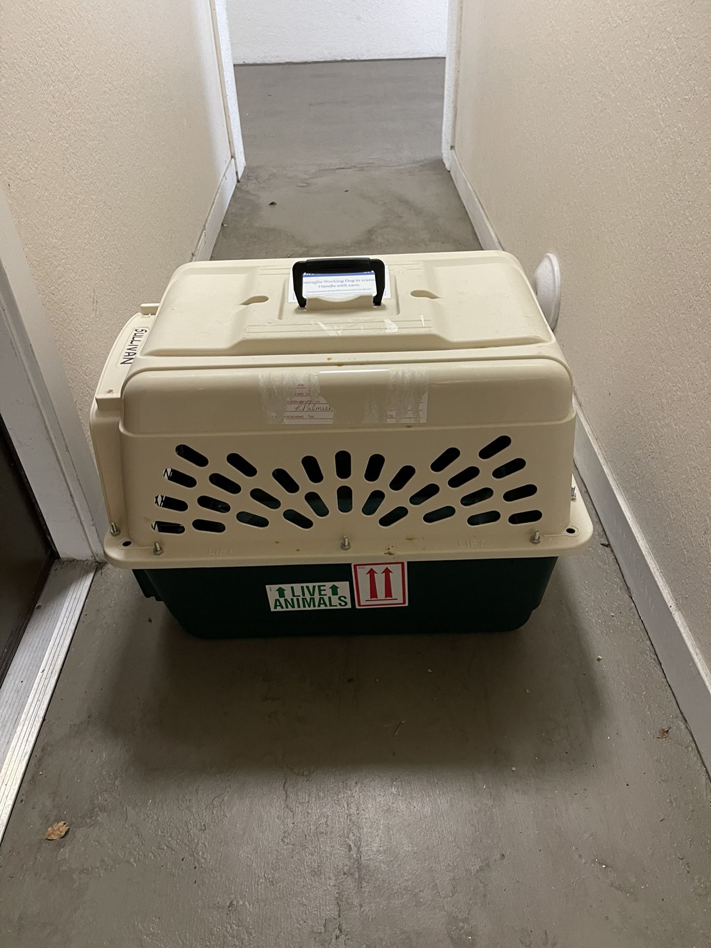 DOG CRATE