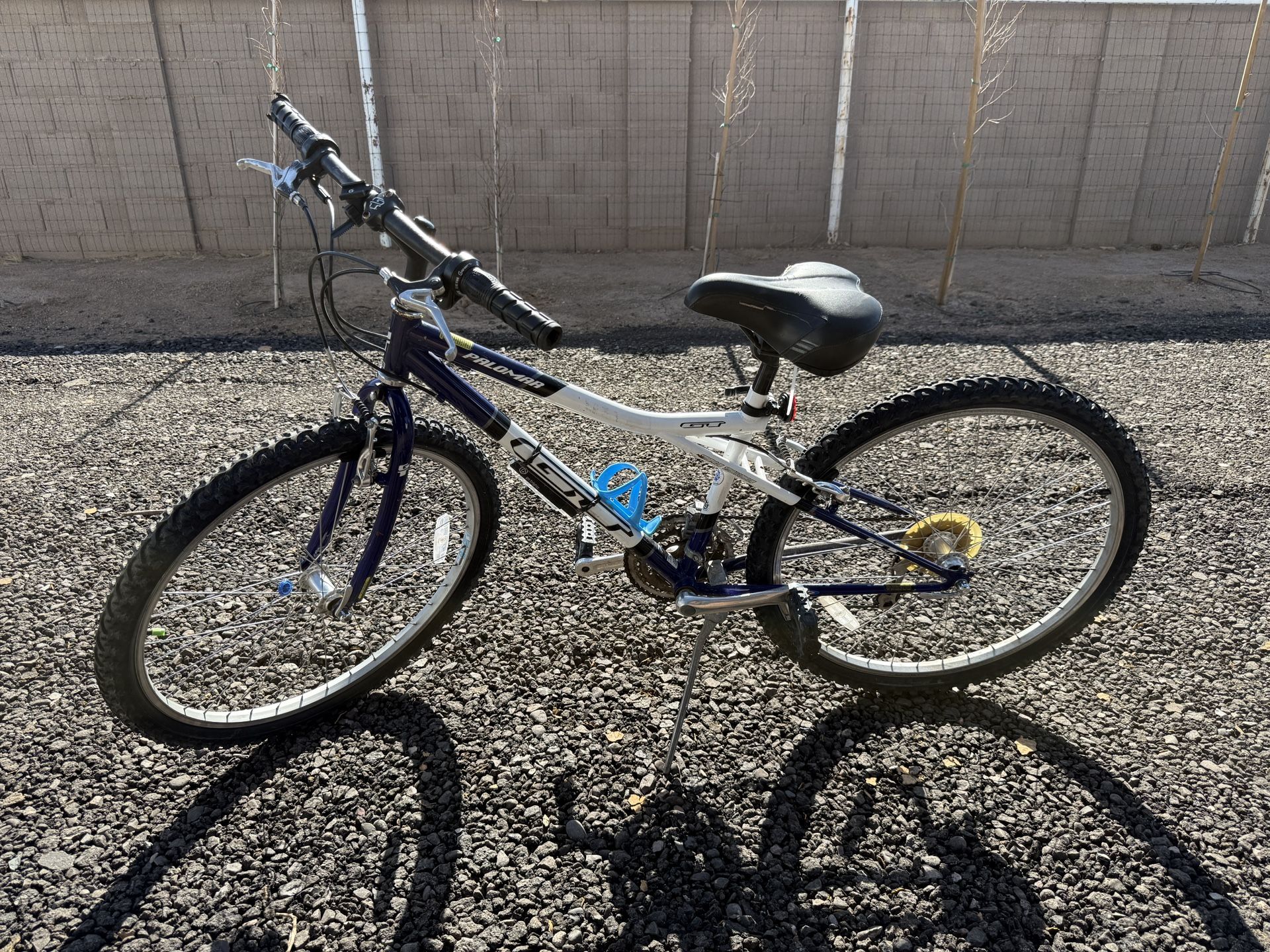 Kids Bike Palomar