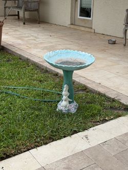Bird bath 2 yrs old