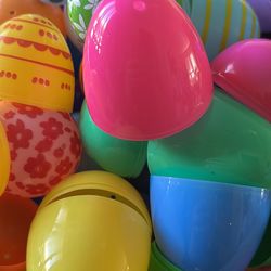 Fresh organic egggs