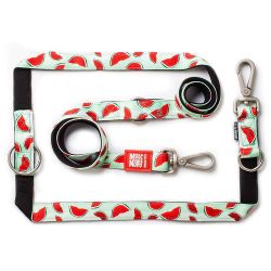 Max & Molly 6-in-1 Hands Free Multi-Function Dog Leash, Ultra Soft Padded Neoprene, Watermelon L (175012)