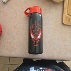 Spiderman Water Bottle 