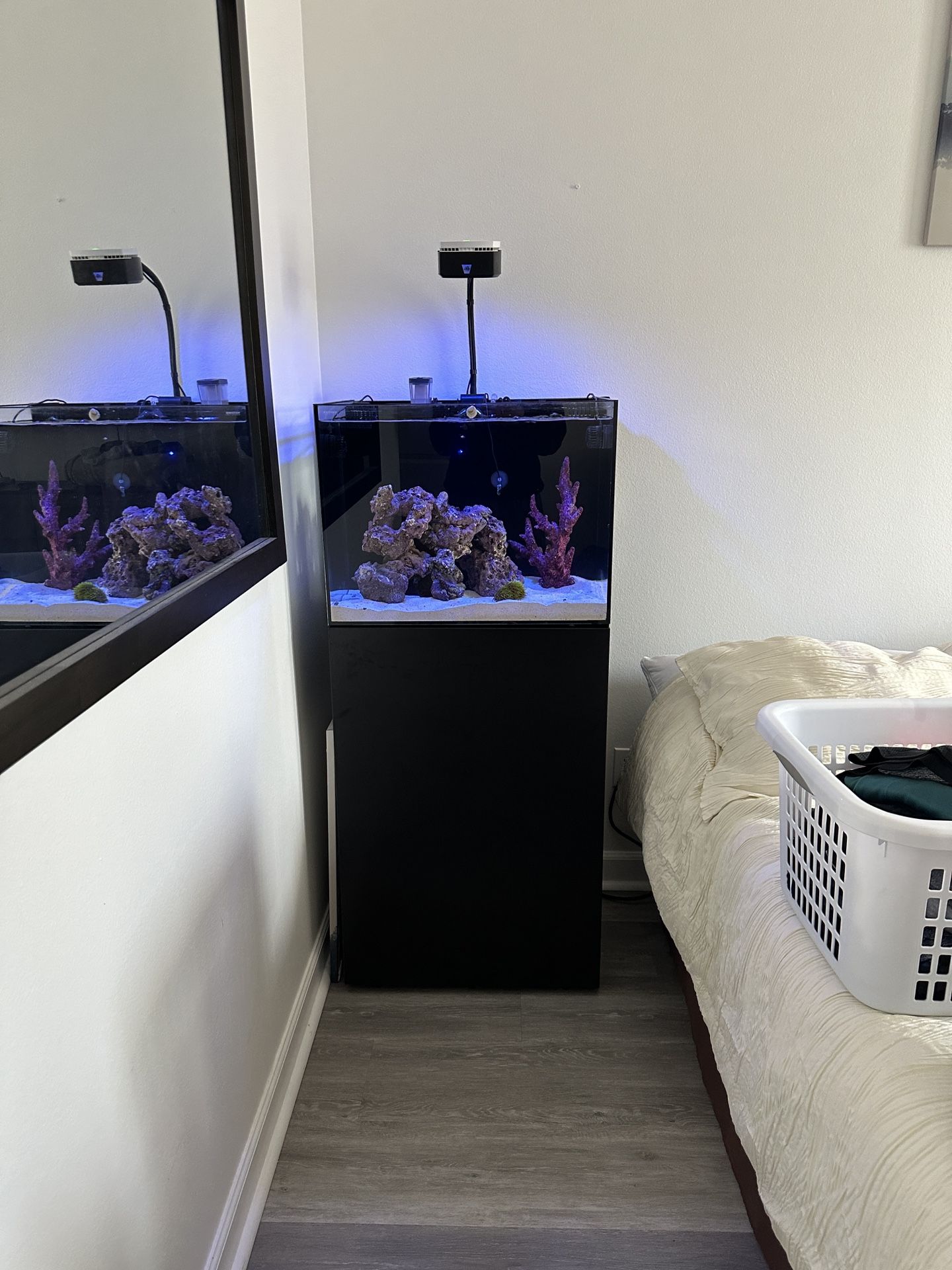 Waterbox 35.2 AIO fish tank aquarium And Stand for Sale in Menifee, CA ...