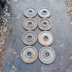 Olympic Weights 40lbs