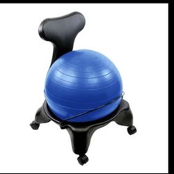 Ergonomic  Mobile Ball Chair 