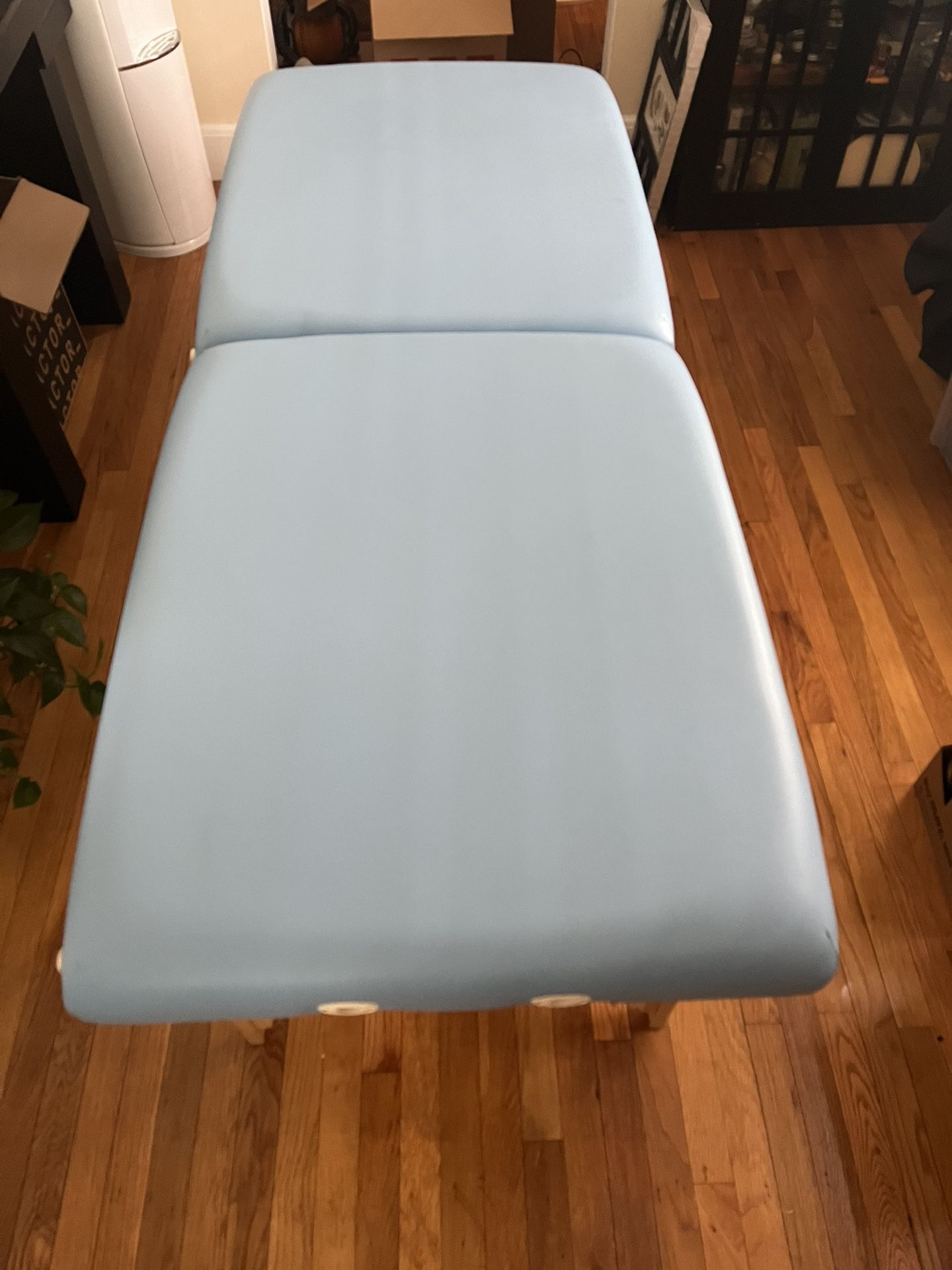 Massage Therapist Table