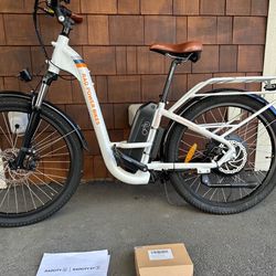 Rad Power Bikes RadCity Step-Thru 3