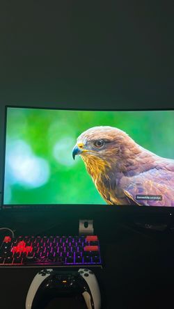 Curved 1080p 240hz monitor