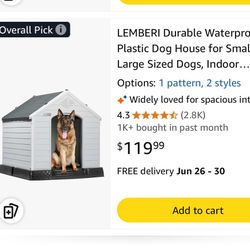 Dog House 
