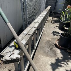 Werner 31’ Aluminum Extendable Ladder