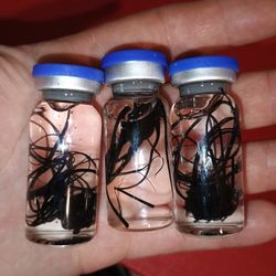 "Parasite" In A Glass Vial