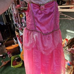 Disney Sleeping Beauty Costume