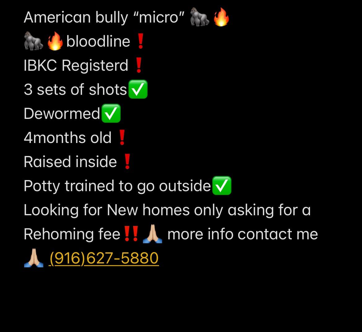 Contact Me