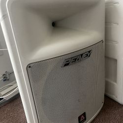 15 Inch High Performance Audio Speaker 