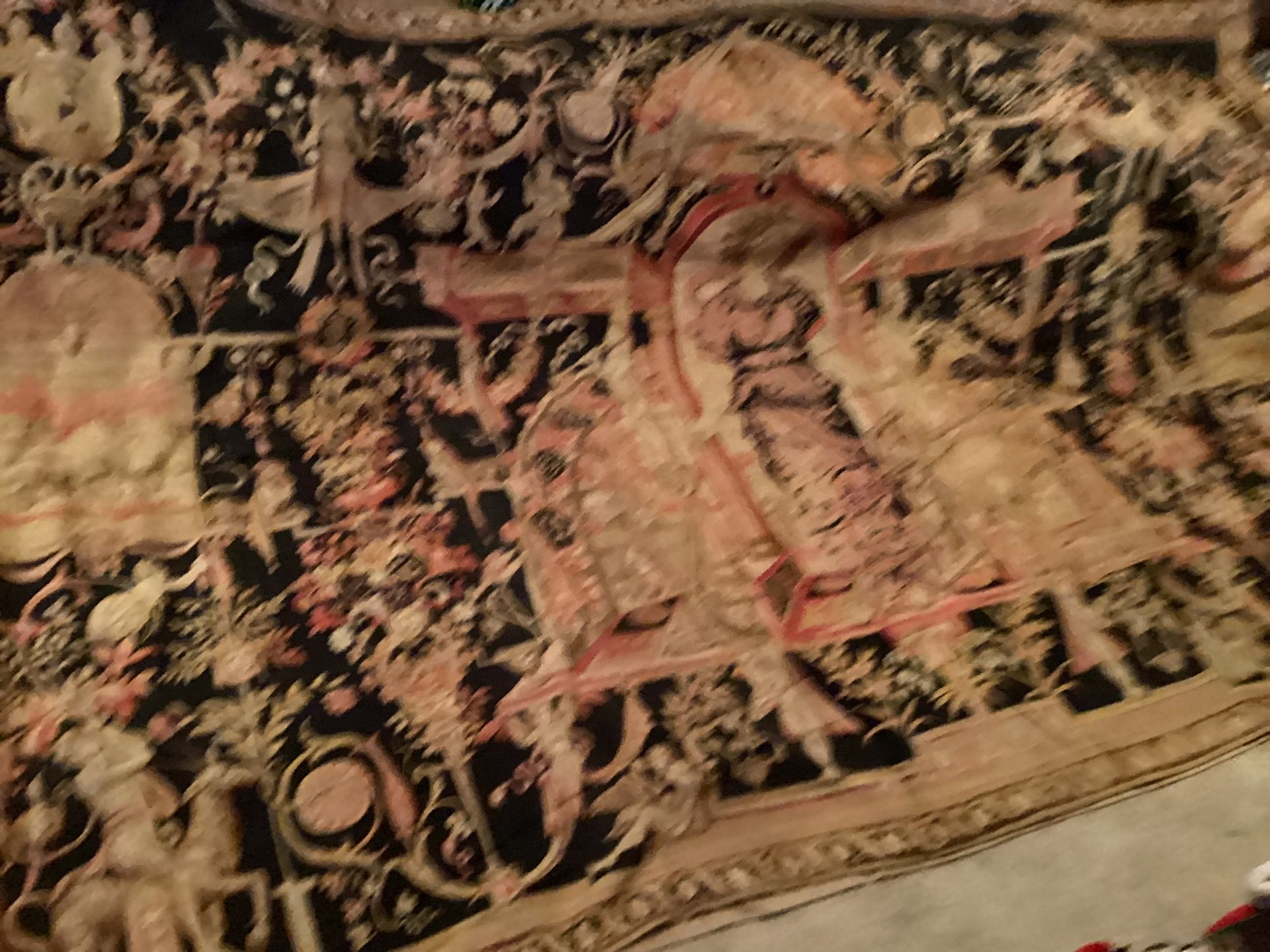 French Antique Tapestry
