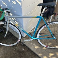 Bike Fixie