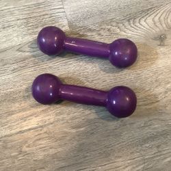 3 Lb Weights 