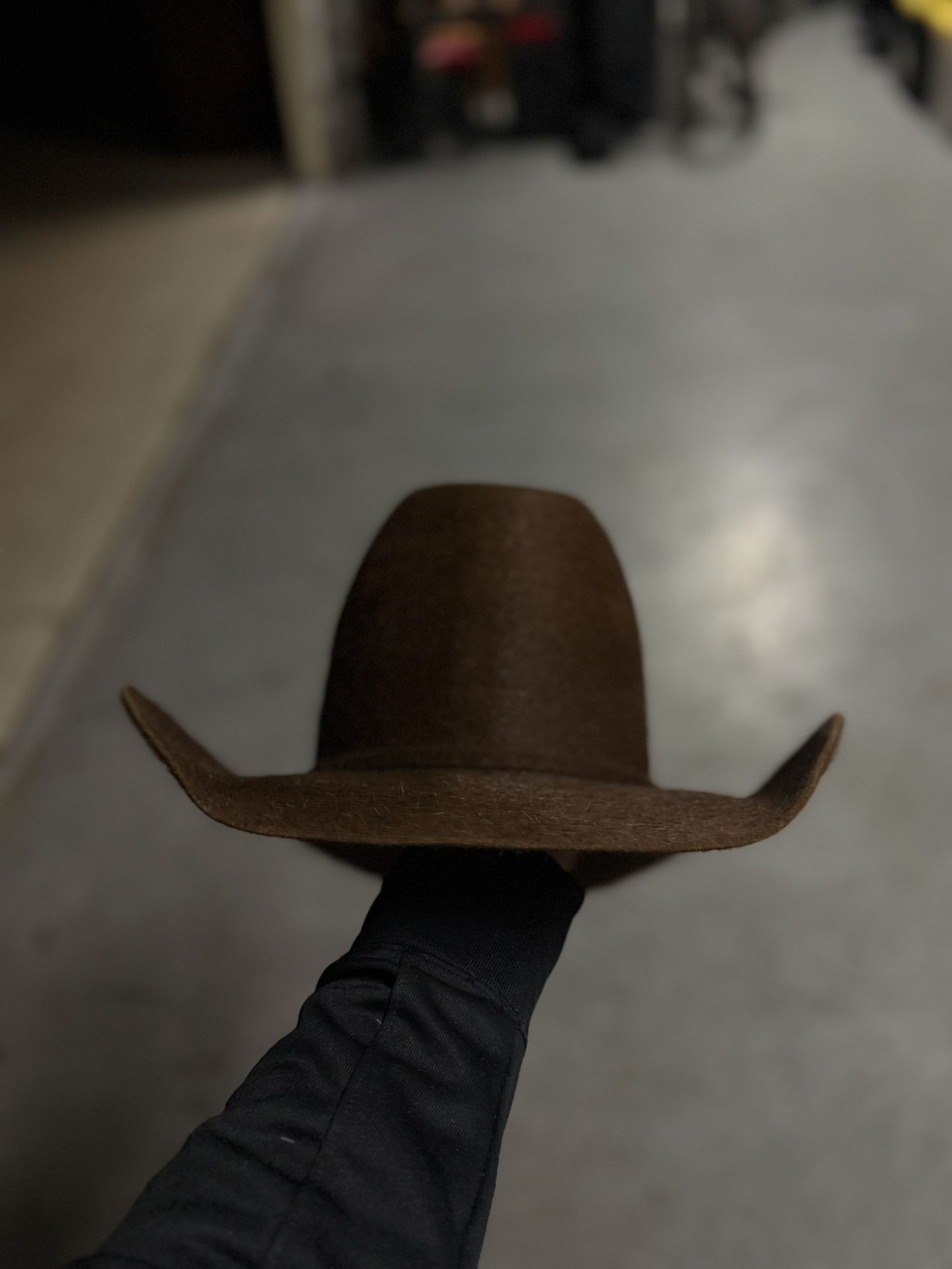 Cowboy Hat / Rodeo King Grizzly 