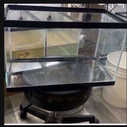10 gallon tank for sale