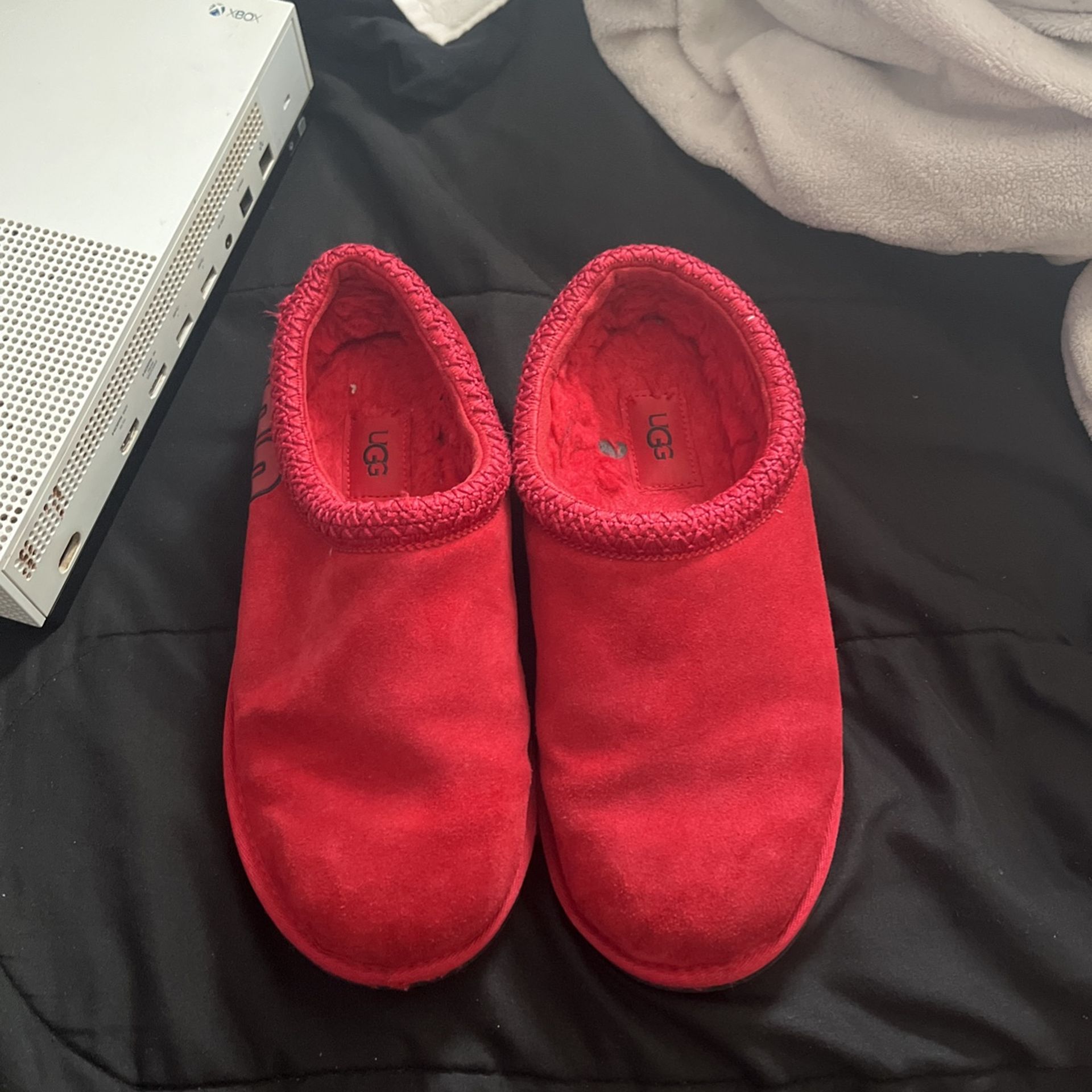 Tasman Uggs