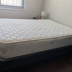 ​3-Piece Bed Set: Mattress + Box Spring + Frame