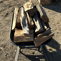 Mixed  firewood ready to burn $25 Wheelbarrow