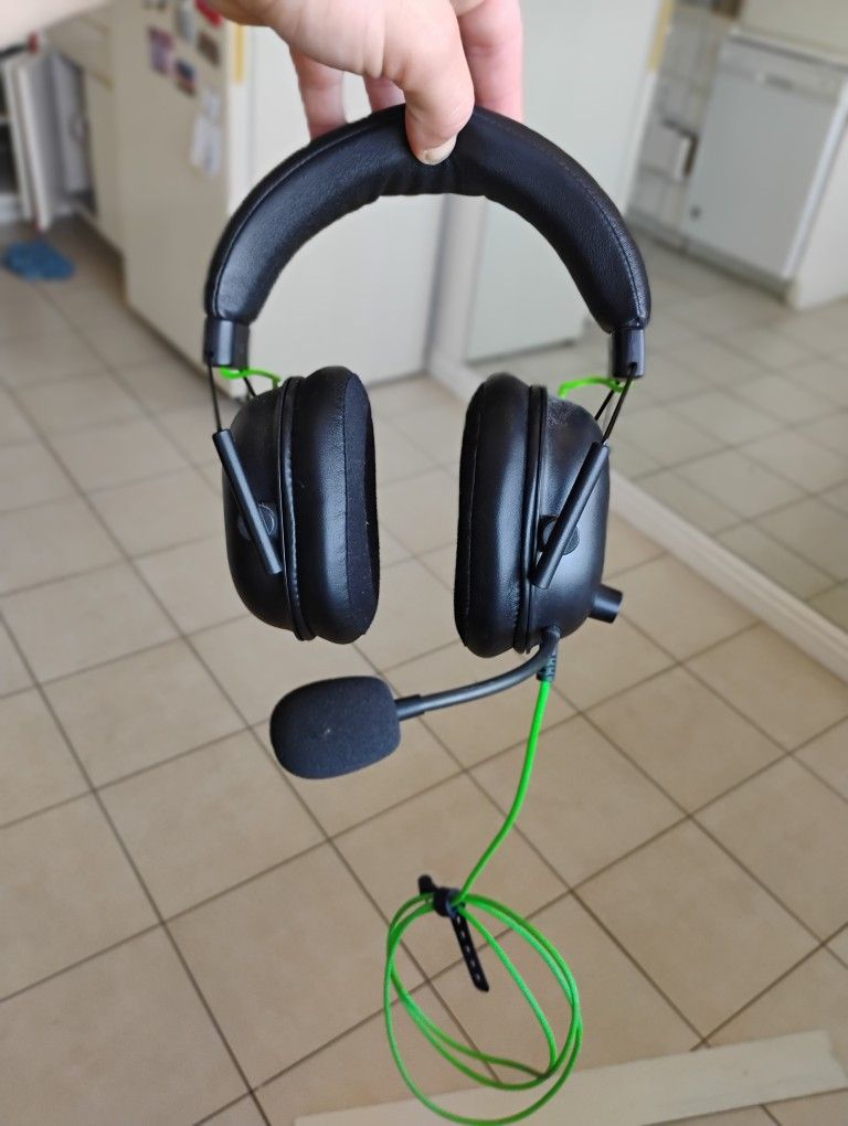 Razer Gaming Headphones Xbox/PC $40