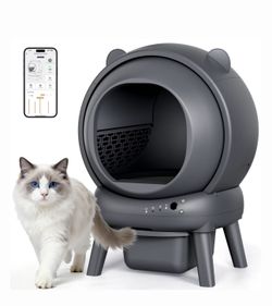 Cat Litter Box 