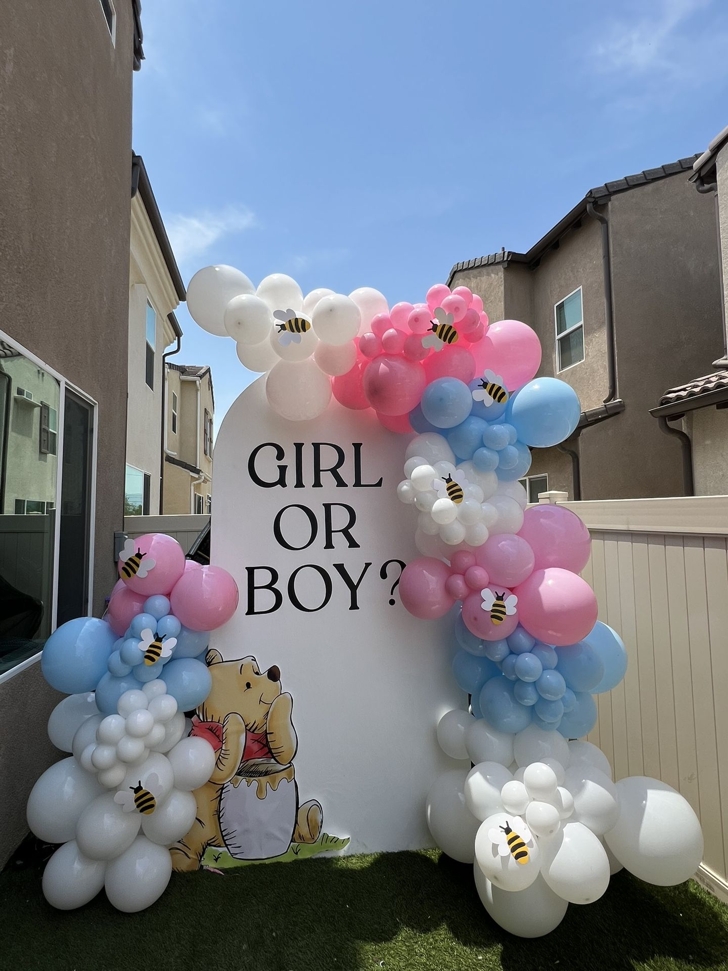 BACKDROPS / BALLOONS