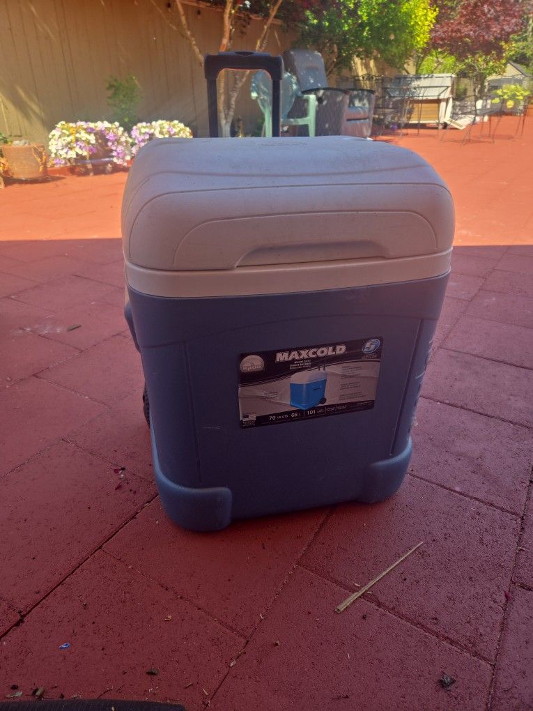 Cooler