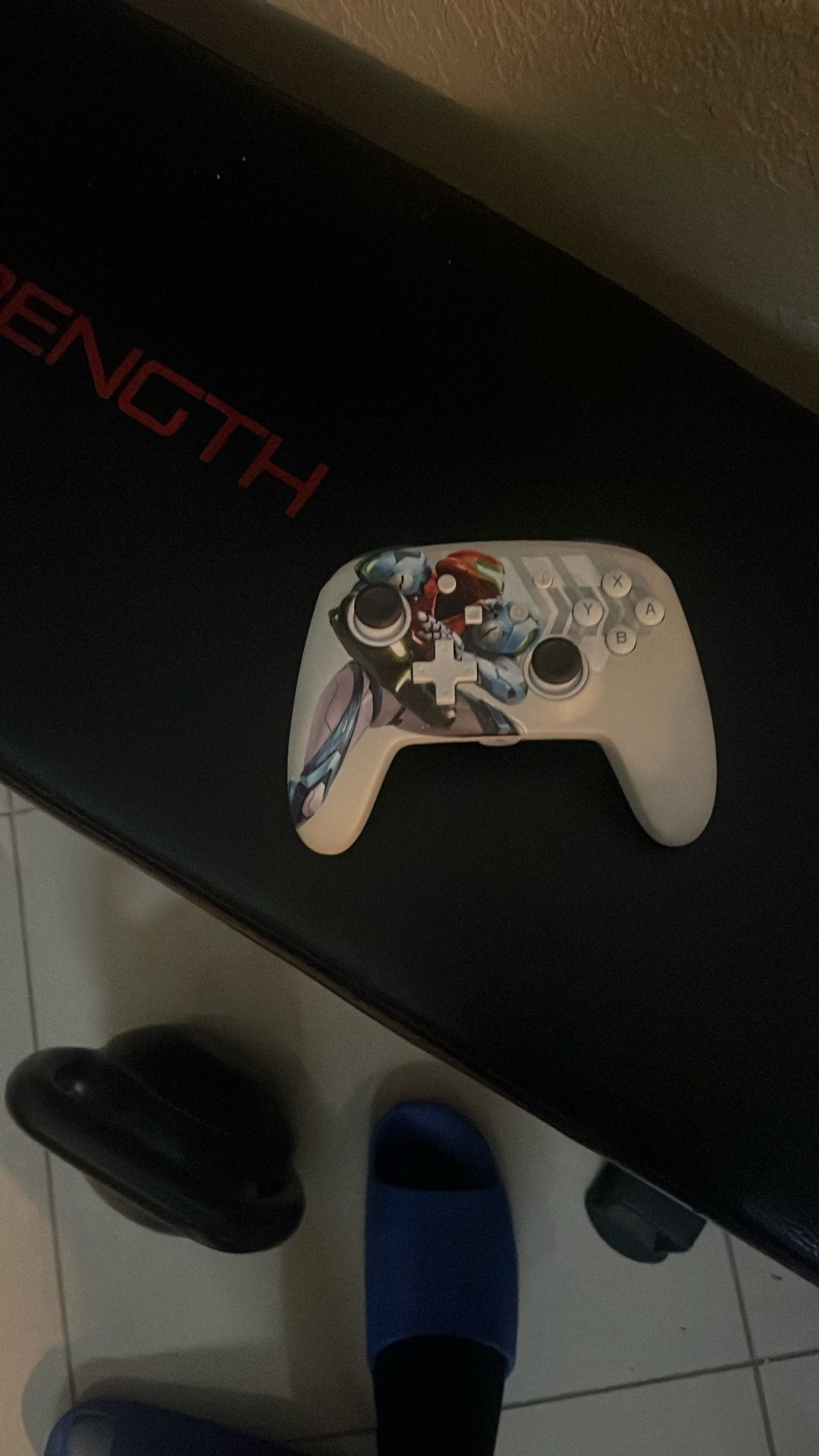nintendo switch/ xbox controller
