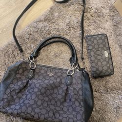 Coach Purse And Wallet