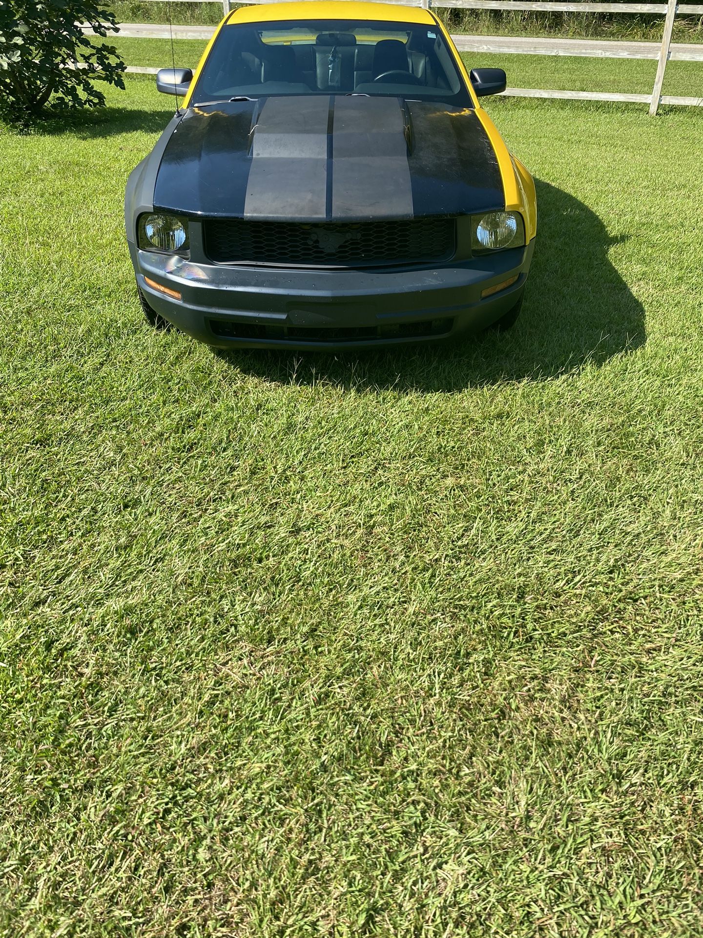 2006 Ford Mustang
