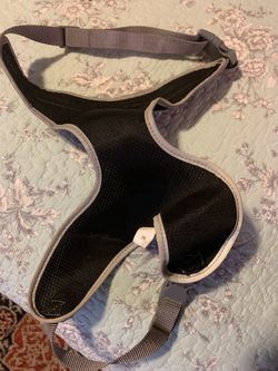 Dog collar