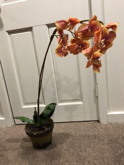 Artificial orange orchids in vase