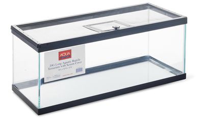 Aquarium/Tank Reptile