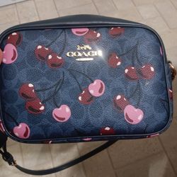 Valentines Day Coach Purse 👛 