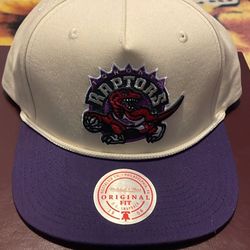 Toronto Raptors Hat
