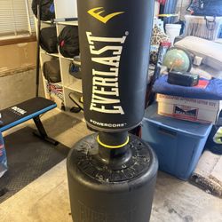 Everlast Freestanding Punching Bag