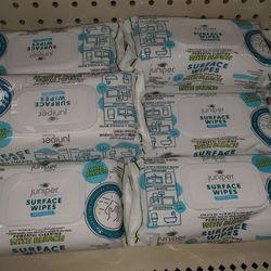 Bleach Wipes 72 Cont 